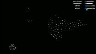 Visualizing Boids: A Flocking Simulation