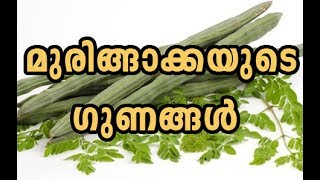 മുരിങ്ങക്കായുടെ ഗുണങ്ങള്‍