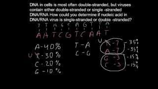 How to find if virus single-stranded or double-stranded?