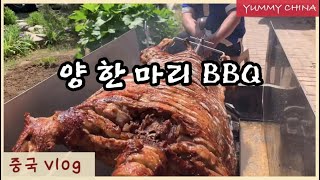 [China Vlog] 양 한마리 통바베큐. Roast Whole Lamb. 烤全羊