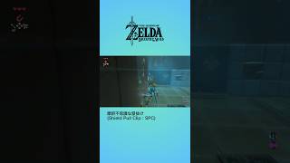 摩訶不思議な壁抜け(SPC)【ゼルダの伝説ブレスオブザワイルド/Breath of the Wild】