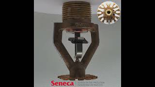 Seneca FSS Sprinkler Sample VK514 PEND