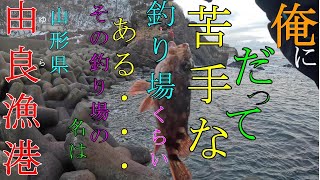 182【釣り】山形県　鶴岡市　由良漁港　小波渡漁港　2025年1月12日 カサゴ、ソイ　Japan, Yamagata Prefecture, Turuoka City, Fishing