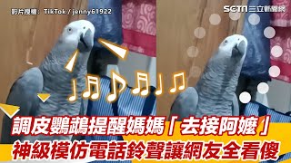 調皮鸚鵡提醒媽媽「去接阿嬤」 神級模仿來電鈴聲讓網友全看傻｜三立娛樂星聞