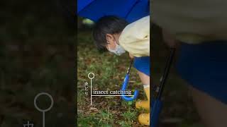 飛び跳ねるバッタと、素早い息子【小雨の中で虫とり】Insect catching with my son.I found a grasshopper