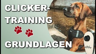 Clickertraining [2021] - Hund Grundkommandos und Tricks beibringen - Grundlagen