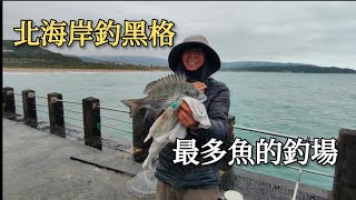 （第33集）北海岸釣場釣黑格最多魚的釣場#臺灣釣魚