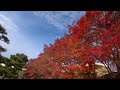 9* 4k 姫路城の風景 scenery of himeji castle in japan