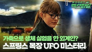 [서프라이즈 엑스파일] 가축으로 생체 실험을 한 외계인? 스프링스 목장 UFO 미스터리 #서프라이즈 MBC100207 방송