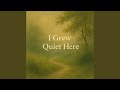 A Place to Pause