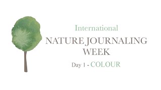 Day 1 of International Nature Journaling Week 2023: Colour
