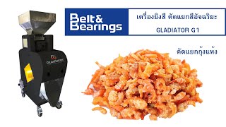 เครื่องคัดแยกสี ยิงสี GLADIATOR COLOR SORTER G1 (คัดแยกกุ้งแห้ง) ข้าว พลาสติก พริก ถั่ว