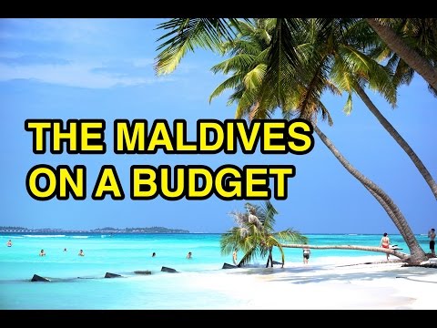 Visit the Maldives on a Budget! Visit the Maldives on a Budget!
