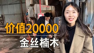 2万多收的一个金丝楠树根，开出来5块极品茶盘料，这花纹太棒了｜土家瑶妹