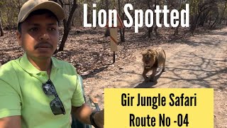 Gir Jungle Safari Adventure: Lion Se Hua Face-to-Face || Route No.4|| Encounter With Male Lion