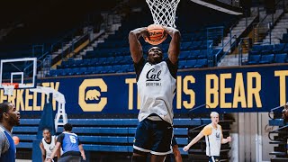 Cal Men's Basketball: Meet The Bears - Mady Sissoko