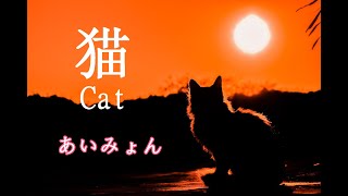 【猫】あいみょん