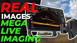 REAL Images of Humminbird Mega Live Imaging | Better than Lowrance Active Target?