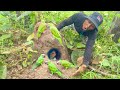 Amazing video! A man see parrots laying eggs in a hole termite mound. #wildlife #birdhome #nest