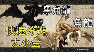 【MHW】快速分辨角龍/黑角龍大小金之魔物獵人世界