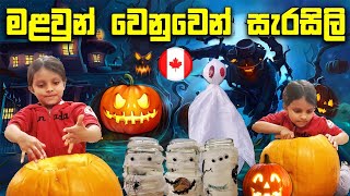 මළවුන් වෙනුවෙන් සැරසිලි | Halloween Decorations | Canada Sinhala Vlogs | @SehaVlogs