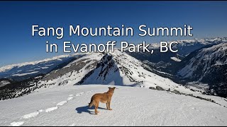 Torpy Mt trail to Fang Mt summit in Evanoff Park | Winter Snowshoe Adventure in Northern BC