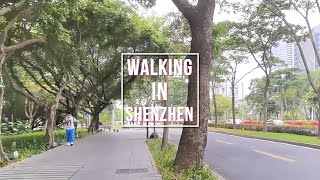 17 Minutes Walking - Nanshan High Tech Park in Shenzhen, China