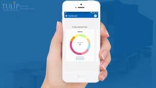 Tulip Logistics - Enquiry Demo