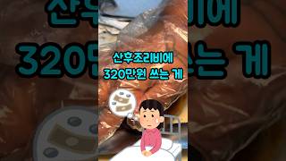 산후조리비로 320만원 썼다고 개념없다고 화내는 시어머니..ㅠㅠ