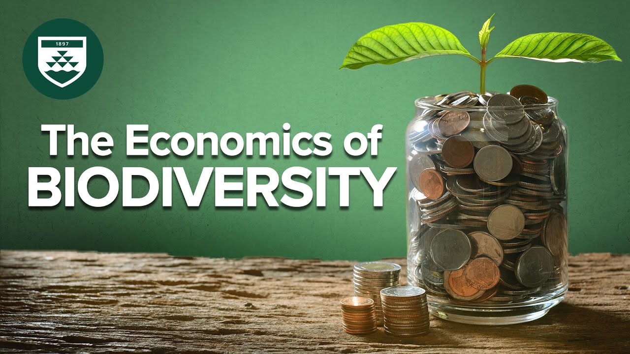 Lecture: The Economics Of Biodiversity - YouTube