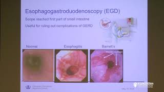 GI Dysmotility in Scleroderma: Not Just the Esophagus! - Daniela Jodorkovsky, MD