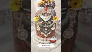 lord shiva motivation | Malaysia | Siddhar Padalgal | #2022 #tamil #tamilstatus #lordshiva #shorts