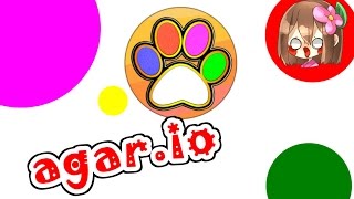 【agar.io】集合に苦戦？！【あしあと】