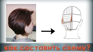 Как составить схему для стрижки?