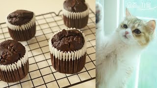 No밀가루, No설탕, No버터 촉촉한 다이어트 베이킹 초콜릿 머핀 Diet muffin🧁그릭요거트 크림과 함께🎶저탄수 저당인데 왜 이렇게 맛있는거죠🤎만들기도 너무 간단해요✨