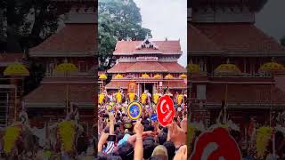 Thrissur Pooram 2023 WhatsApp Status #thrissur #thrissurkaran #thrissurpooram #pooram #festivevibes