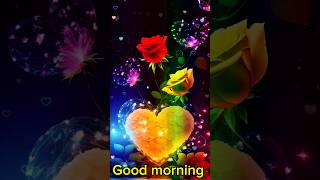 Good morning status 🌹❤️|#love #sharechat #shorts #short #rose #tiktok #song