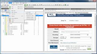 CSS and HTML Validate All Pages in Entire Website [Explained]