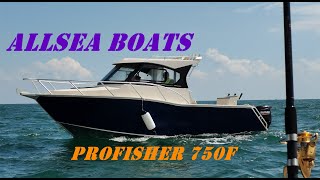 Allsea Profisher 750F 25ft fishing leisure boat with refrigerator