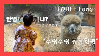 로희퐁~ 경주 주렁주렁왔어요! 실내동물원 탐험 고고씽~!