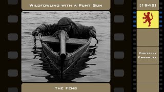 Wildfowling with a Punt Gun - The Fens (1945)  |  Digitally Enhanced