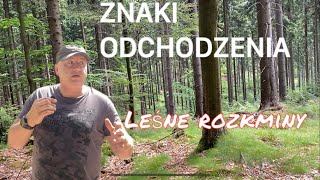 ZNAKI ODCHODZENIA.. Leśne rozkminy.