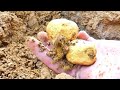 how to finding gold treasure at mountain just digging and collecting treasure.