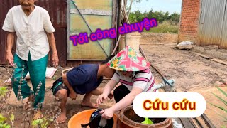 Út MY tới nhà  anh THUẬN làm gì út My vậy