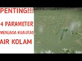 Kualitas Air Kolam-4 Parameter Menjaga Kualitas Air Kolam