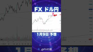 【FX ドル円】2025年1月9日のドル円最新予想。ドル買い再開！？