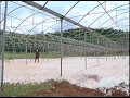 protected cultivation use of hydroponics and greenhouse technology