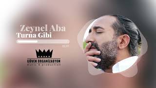 Zeynel Aba - Turna Gibi