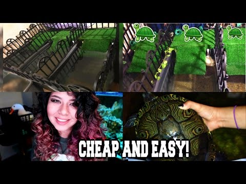DIY EPIC INDOOR TURTLE POND SETUP BUILD! (HOW TO) DIY EPIC INDOOR TURTLE POND SETUP BUILD! (HOW TO)
