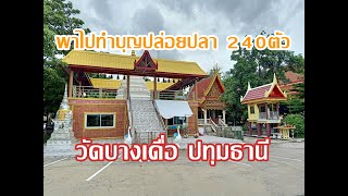 พาครอบครัว ไปทำบุญ ปล่อยปลา240ตัว